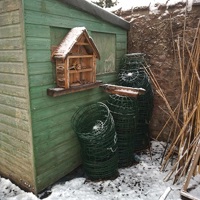 The bug hotel opens